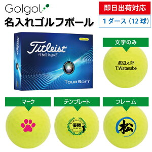 yoבΉ St{[z^CgXg TOURSOFT cA[\tg 2024Nf CG[ 1_[X(12)a Mtg ̓ v[g IEl[ Il[ O I[_[