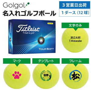 y3cƓo St{[z^CgXg TOURSOFT cA[\tg 2024Nf CG[ 1_[X(12)a Mtg ̓ v[g IEl[ Il[ O I[_[C