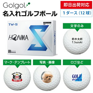 yoבΉ IEl[ St{[z{ԃSt TW-S 2024Nf zCg 1_[Xi12j Xs[h[i OMtg Ryܕi ii z[C LOi ̓ җ