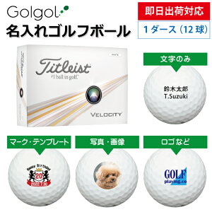 yoבΉ IEl[ St{[z^CgXg Velocity xVeB 2024Nf zCg 1_[Xi12j Xs[h[i OMtg Ryܕi ii z[C L