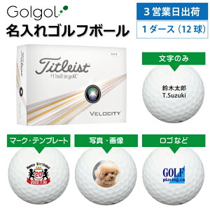 y3cƓoבΉ IEl[ St{[z^CgXg Velocity xVeB 2024Nf zCg 1_[Xi12j Xs[h[i OMtg Ryܕi ii z[C