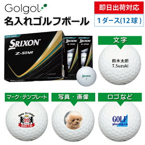 �y�����o�בΉ� �I�E���l�[�� ������S���t�{�[���z�_�����b�v SRIXON �X���N�\�� Z-STAR 2025�N���f�� ���C�����O���[�� 1�_�[�X(12��) �X�s�[�h�[�i ���O����M�t�g �R���y�ܕi �i�i �z�[���C��