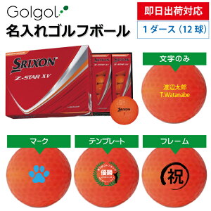 �y�����o�בΉ� �I�E���l�[�� ������S���t�{�[���zSRIXON �X���N�\�� Z-STAR XV 2025�N �p�b�V�����I�����W 1�_�[�X(12��) �X�s�[�h�[�i ���O����M�t�g �R���y�ܕi �i�i �z�[���C������ �L�O�i 