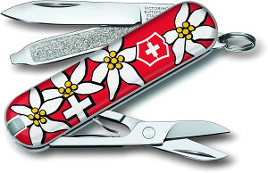 VICTORINOX(rNgmbNX)NVbNEG[fCX bh 0.6223.840y{KizyyMt_z