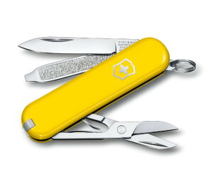 VICTORINOX(rNgmbNX)NVbNSD Colors SUNNY SIDE 0.6223.8Gy{KizyyMt_z