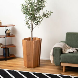 Ebhv^[ Jo[ LTCY i` p` [33cm ؐ VR  Vv AWA ϗtA Aؔ Jo[