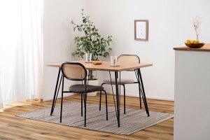 _CjOe[u 120×80 120 s80 72cm RpNg 2`4lp ACA ؖڒ  Vv i`