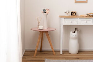 TChe[u ݃J[ sN ~` ی` a50 50cm O{r ؐ VR RpNg Vv \t@TCh xbhTCh