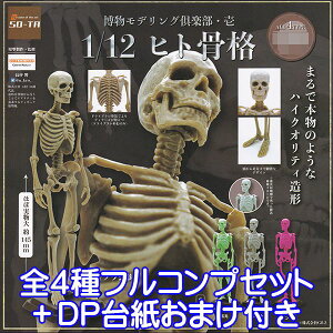 fOyE 1/12 qgi  iW{ ~j`A ObY tBMA ͌^ K`K` SO-TAiS4tRvZbg{DP䎆܂tj y[zyʌz