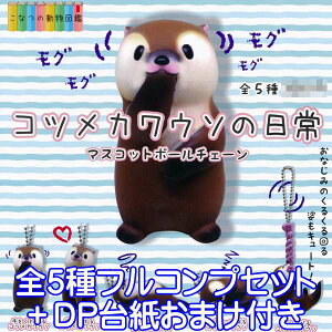Ȃ̓} RcJE\̓ }XRbg{[`F[    Aj} ObY K` QualiaiS5tRvZbg{DP䎆܂tjy[zyʌz