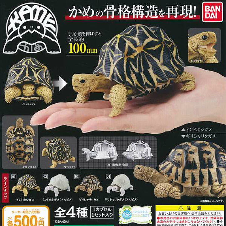 楽天市場 かめ かめの骨格構造を再現 フィギュア 亀 カメ インドホシガメ ギリシャリクガメ 動物 模型 ガチャ バンダイ 全４種フルコンプセット ｄｐ台紙おまけ付き 即納 数量限定 トレジャーマーケット