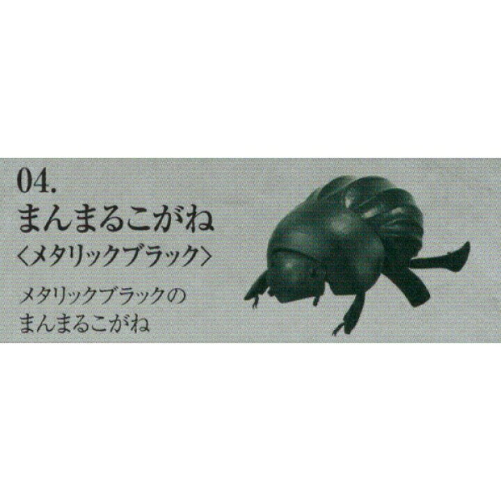 楽天市場 まんまるこがね メタリックブラック だんごむし Dango Mushi 07 フィギュア 虫 トカゲ 生物 模型 完全再現 グッズ ガチャ バンダイ 即納 数量限定 セール品 トレジャーマーケット