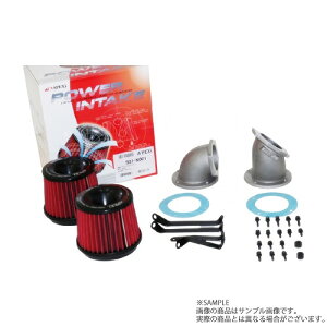 APEXi アペックス エアクリ スカイライン GT-R BNR32 RB26DETT パワーインテーク 507-N001 トラスト企画 ニッサン (126121101