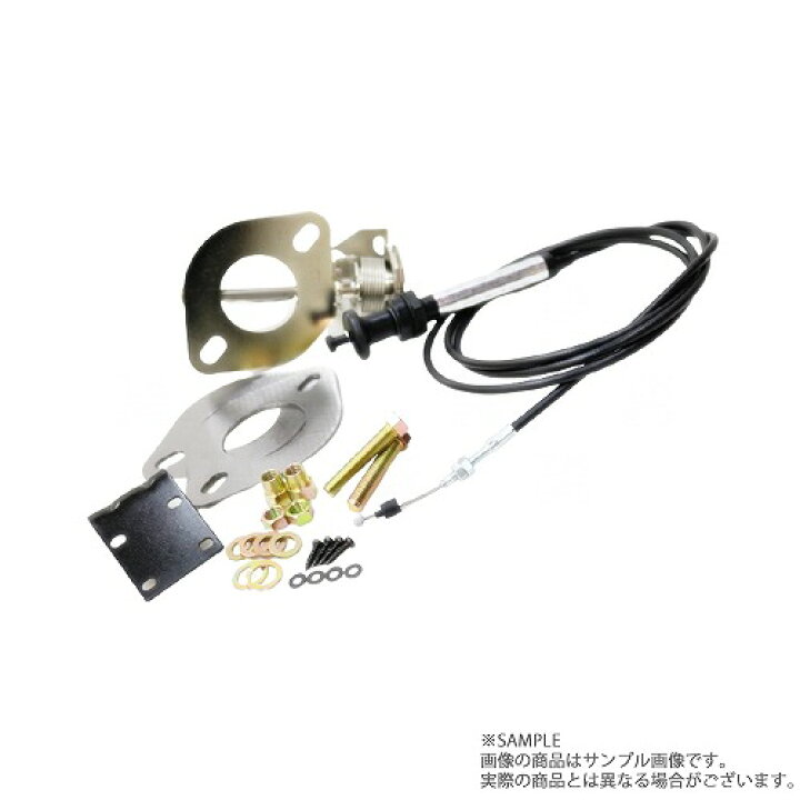 楽天市場】APEXi アペックス ECV Φ51 フランジ汎用タイプ エキゾースト 