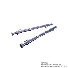 TOMEI 東名パワード ポンカム シルビア S15 SR20DE PONCAM TYPE-N (IN/EX) 143042 トラスト企画 ニッサン (612121166