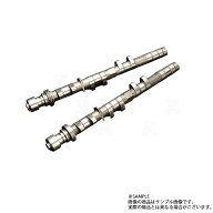 TOMEI 東名パワード ポンカム カローラ レビン AE86 4AG PONCAM (IN/EX) 143056 トラスト企画 トヨタ (61…