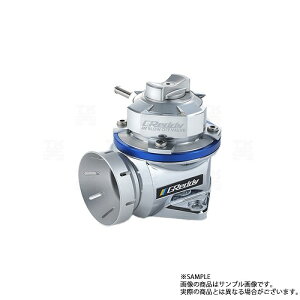 TRUST �g���X�g �u���[�I�t�o���u FV2 �L�b�g (�����[�X/���^�[��) �X�J�C���C�� GT-R BNR34 RB26DETT 11521215 (618122066