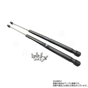 ���[ ���Y �j�b�T�� �g�����N�_���p�[ ���E�Z�b�g �X�J�C���C�� GT-R BNR34 R34 2�h�A �Z�b�g�i �����i (�� 663101296S1