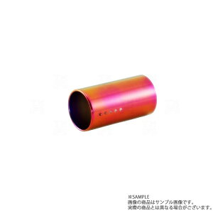FUJITSUBO tWc{ `^jE tBjbV[ 100 W[N YF15 AUTHORIZE S (350-11811) 109-10023 gXg (759141117