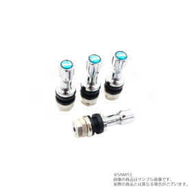即納 RAYS レイズ ホイール用 エアバルブ 4個セット (★ 978131001S1