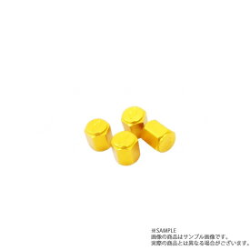 WORK ワーク エア バルブ キャップ オレンジ 240032 トラスト企画 (979131061