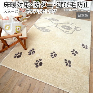 LN^[ Xk[s[ fUC O }bg h_j g[Ή Vітoɂ { 185×185cm s[ibc |EvgO (S) z V ubNtCf[