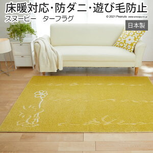 LN^[ Xk[s[ fUC O }bg h_j g[Ή Vітoɂ { 130×185cm s[ibc ^[tO (S) z V ubNtCf[