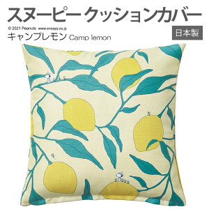 LN^[ Xk[s[ fUC  NbVJo[ { 45×45cm 1 s[ibc P040C Lv (S) z V