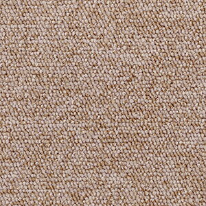 @\J[ybg ɂ { Ԓl 4 4.5 4.5 210×364cm I[_[J[ybg t[Jbg Wall to WallJ[ybg AXVI2(A) z V