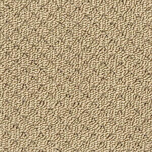 @\J[ybg ꂪ₷ { Ԓl 4 4.5 4.5 210×364cm I[_[J[ybg t[Jbg Wall to WallJ[ybg j[AX[h(A) z V