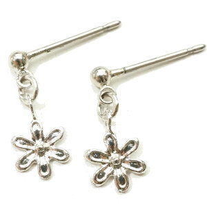 _z50OFF^sAX AM[ X^bhsAX  t[ L[g fB[XsAX 킢  T[WJXeX|Xg tbN(`^/)orCOւ̕ύXOK