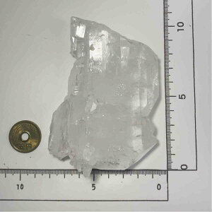 No.00286@t@[fNH[c d:222.5g@ t@[f  z VR p[Xg[ ANZT[