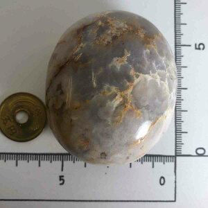 NO:21265 AQ[g TNAQ[g  TN  AQ[g  mE ߂̂ ^u yu  VR p[Xg[