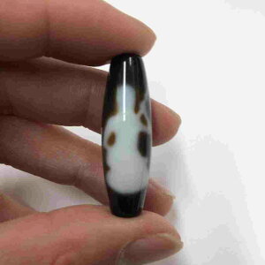 No.746y37z iωV W[r[Y r[Y VR mE  AQ[g ANZT[ `xbgV  J^ 