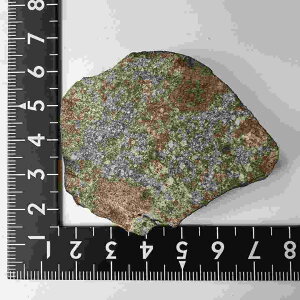 No.yE20772zΎ覐΁ʃRhCg覐΁Condrite NWA869eICg