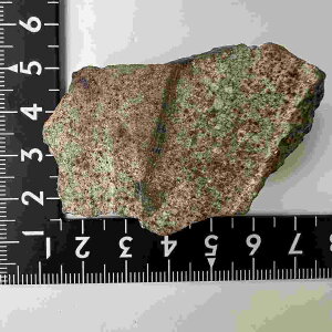 No.yE20779zΎ覐΁ʃRhCg覐΁Condrite NWA869eICg