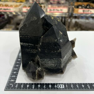 No.yE22646zVRI  I  VR z p[Xg[