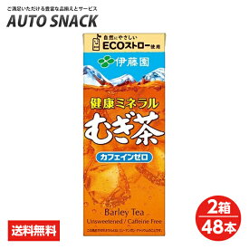 【お得なクーポン配布中4/27迄】【2箱・48本】伊藤園　健康ミネラル麦茶250紙パック【送料無料】