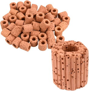  Œ胊O p d   ~`    _J ANAE (100Zbg)