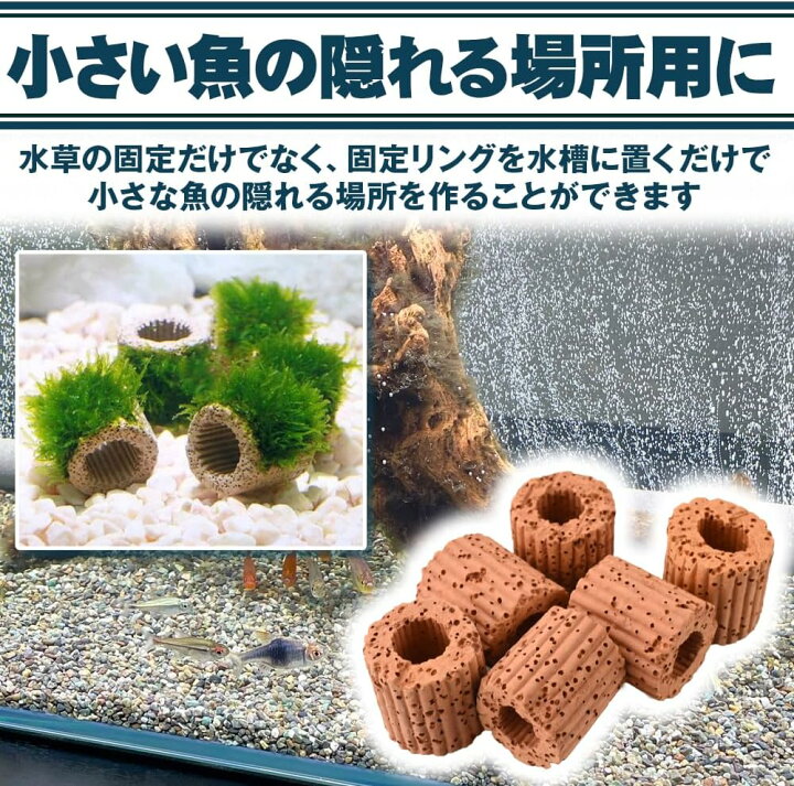 楽天市場】水草 固定リング 水槽用 重り おもり 石 円筒形 穴あき ろ過 