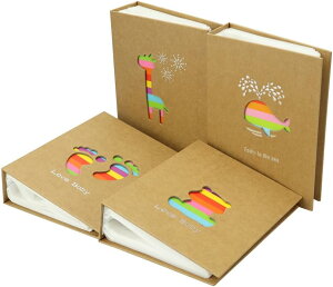 Ao 4Zbg ʐ^ۊ  q  1200[ LΉ Ntg |Pbg J4