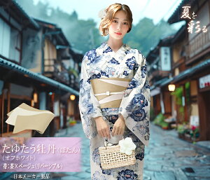  fB[X 2_Zbg  ߑ Zbg 100 o[Vu  g _  ȒP l a a ԉΑ Ղ 傫TCY 20 30 40 50 F   z