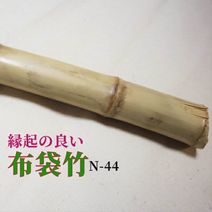楽天市場】【布袋竹N44】 杖に最適（黄門さま気分） : はっぴ専門店 