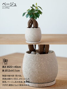 KW} ϗtA   j ~j ~jTCY v[g Mtg  ^ bZ[WJ[h bsO CeA O[ }V 킢 A lC Vzj JX