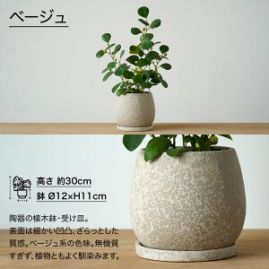 ϗtA   Ro{_CW  SmL S̖ Iׂ Aւ  rj[ vX`bN 3 4 j Mtg v[g j bsO bZ[WJ