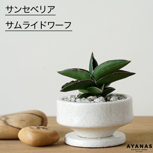 ϗtA   ~jTCY TZxA TCh[t TXxA  ^  ϗt A  킢  mg[ lC ȒP CeA O[ 