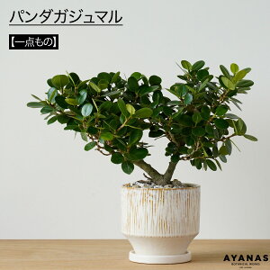 ϗtA  p_ KW} p_KW} j v[g Mtg  ^ bZ[WJ[h bsO CeA O[ }V 킢 A lC Vzj JX