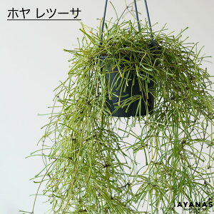 ϗtA  ݂艺 z c[T ݂邷 ݂蔫 |gX nMO ~jTCY ꉺ A ^  lC ȒP CeA O[ rO Mtg v[g A 