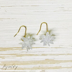 y[֑zL[rbNWRjÃr[Y{[LLPsAXS[hAM[ΉjbPt[HtbNsAX`^COmz[