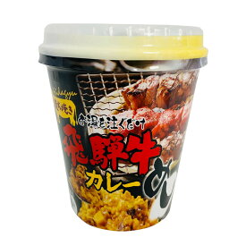 飛騨牛カレーめし 1個 レトルト インスタント ご飯 ビーフカレー